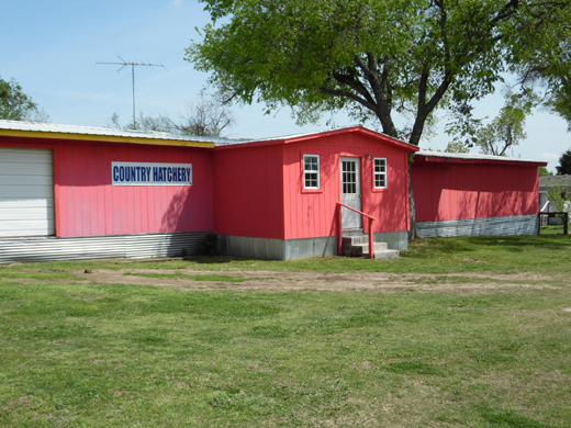 Country Hatchery building in Wewoka, Oklahoma