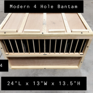 #14 4 Hole Modern Game