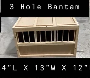 #3 3 Hole Bantam