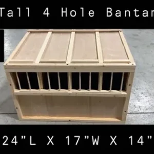 #4 Tall 4 Hole Bantam
