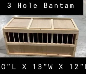 #8 3 Hole Bantam