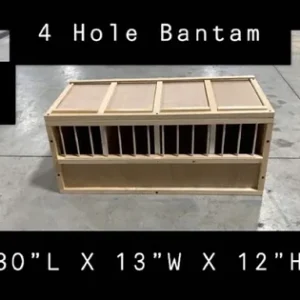 #9 4 Hole Bantam