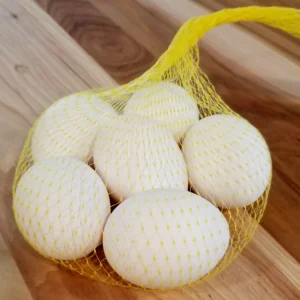 Boston Roundhead Hatching Eggs For Sale