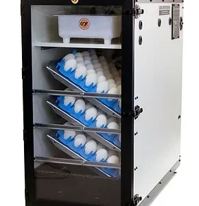 Clear Door for New Cabinet Incubators