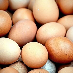Cuckoo Marans Hatching Eggs near me