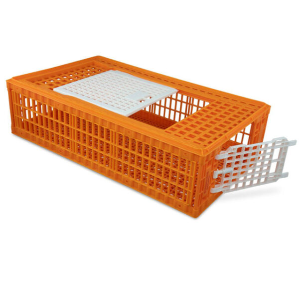 Heavy Duty Transport Crate For Sale - Image 3