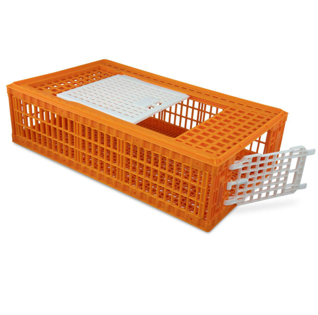 Heavy Duty Transport Crate For Sale - Image 2