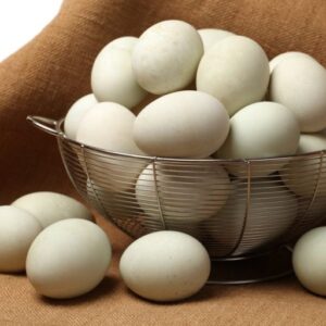 fertile Black Runner duck hatching eggs online